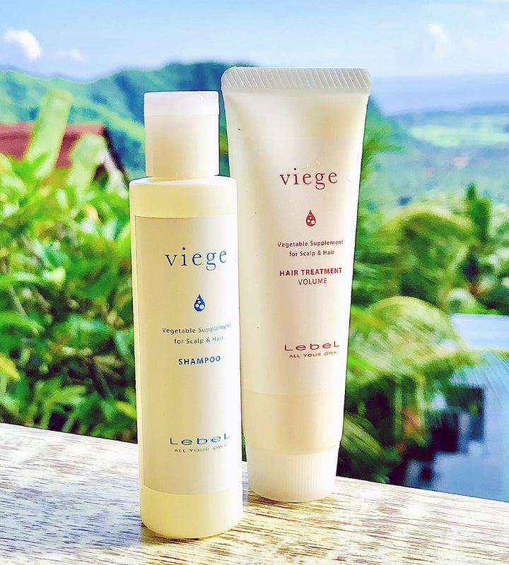 Lebel Viege hair treatment volume Exclusive Cosmetics - exc-beauty.com